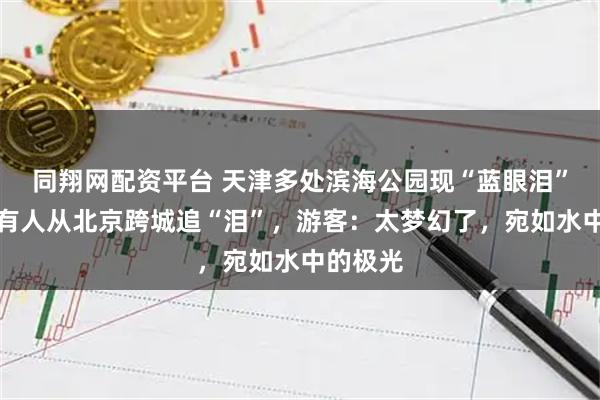 同翔网配资平台 天津多处滨海公园现“蓝眼泪”奇观，有人从北京跨城追“泪”，游客：太梦幻了，宛如水中的极光