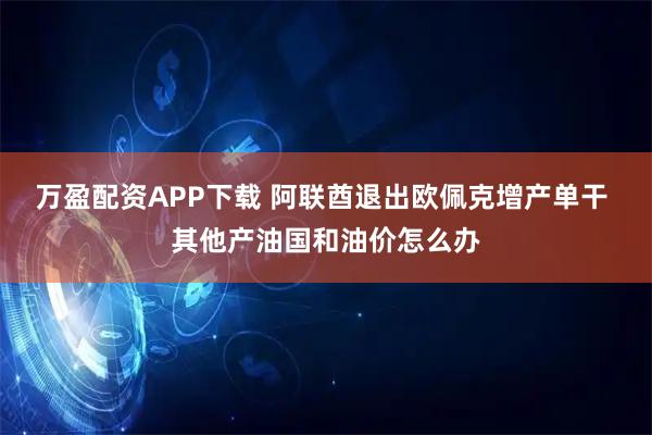 万盈配资APP下载 阿联酋退出欧佩克增产单干 其他产油国和油价怎么办